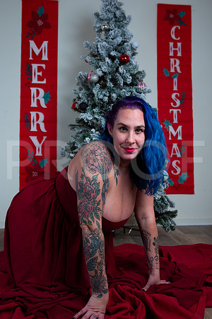 Tabitha Christmas Photoshoot 12.5.2025 x David Alexander Media-6859