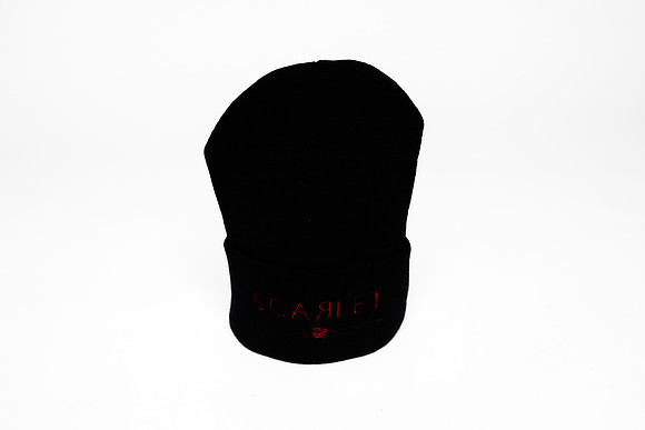 Wild Scarlet Merch Photoshoot x David Alexander Media-6430
