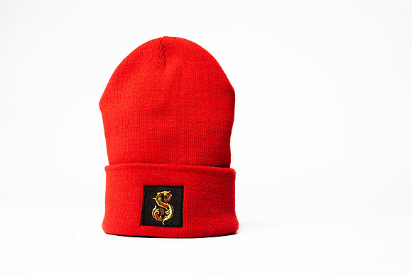 Wild Scarlet Merch Photoshoot x David Alexander Media-6435