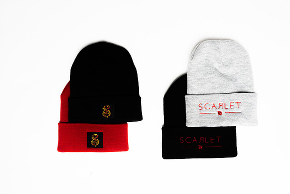 Wild Scarlet Merch Photoshoot x David Alexander Media-6438