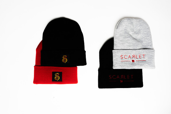 Wild Scarlet Merch Photoshoot x David Alexander Media-6439