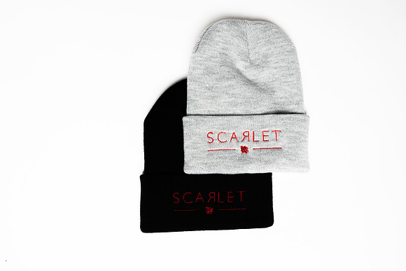 Wild Scarlet Merch Photoshoot x David Alexander Media-6441
