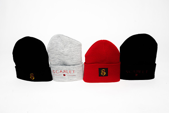 Wild Scarlet Merch Photoshoot x David Alexander Media-6399