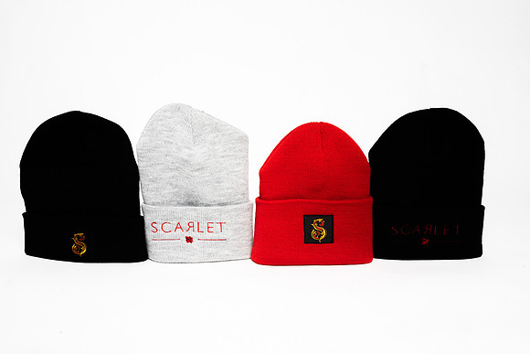 Wild Scarlet Merch Photoshoot x David Alexander Media-6400