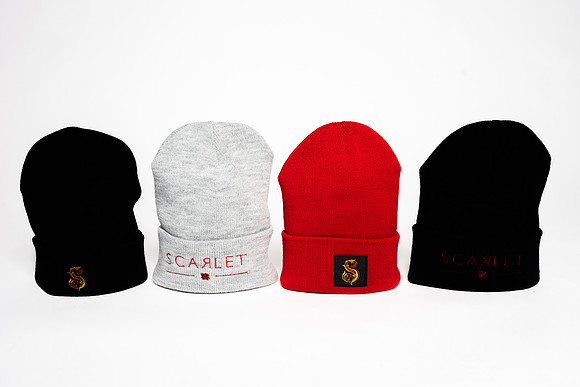 Wild Scarlet Merch Photoshoot x David Alexander Media-6406