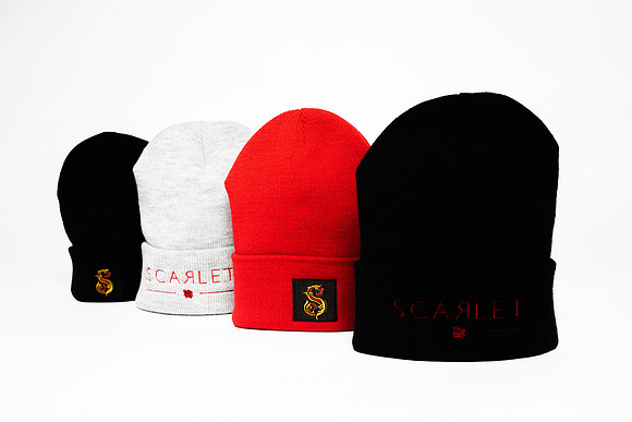 Wild Scarlet Merch Photoshoot x David Alexander Media-6408